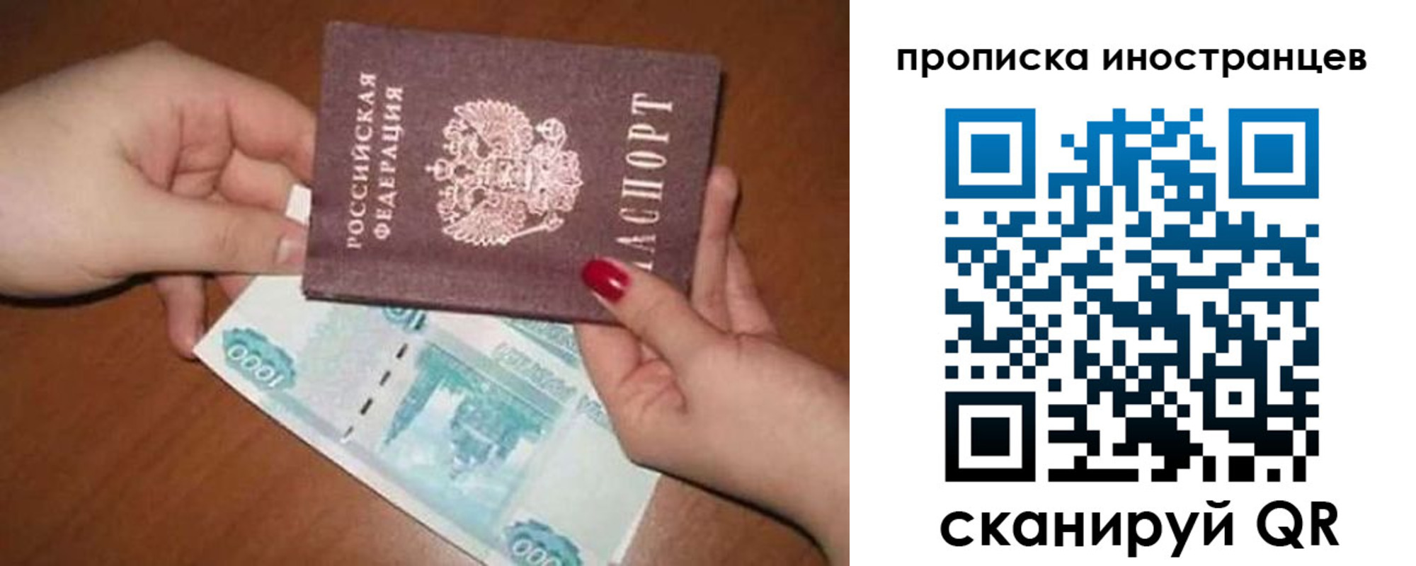 найти адрес прописки в Торопеце